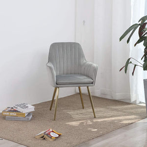 Hindoro Modern Living Dining Room Accent Arm Chairs Club Guest with Gold Metal Legs (1, Grey)